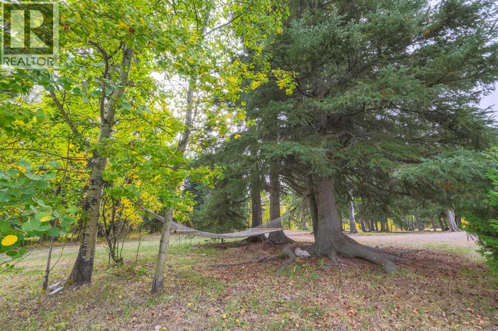 51036 Township Road 354, Rural Clearwater County, Alberta  T4T 1X0 - Photo 39 - A2261724