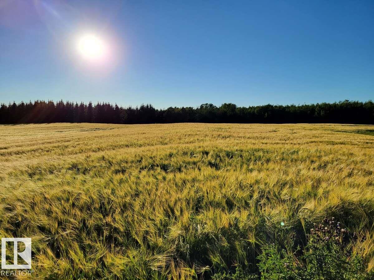 20512 Twp Rd 502, Rural Beaver County, Alberta  T0B 2C0 - Photo 6 - E4460568