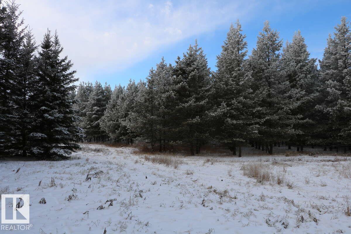 20512 Twp Rd 502, Rural Beaver County, Alberta  T0B 2C0 - Photo 14 - E4460568