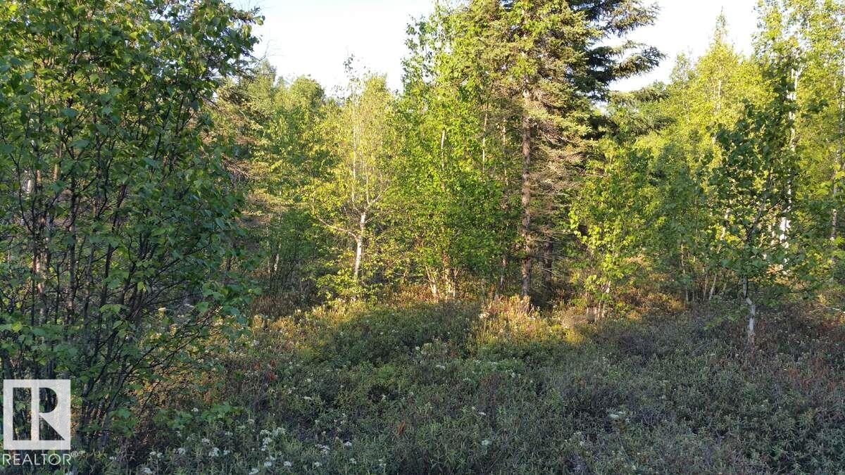 20512 Twp Rd 502, Rural Beaver County, Alberta  T0B 2C0 - Photo 17 - E4460568