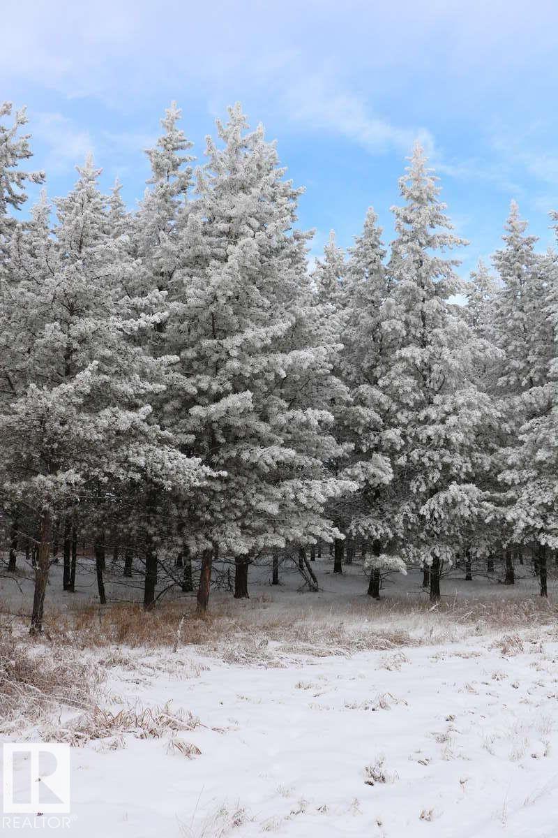 20512 Twp Rd 502, Rural Beaver County, Alberta  T0B 2C0 - Photo 16 - E4460568