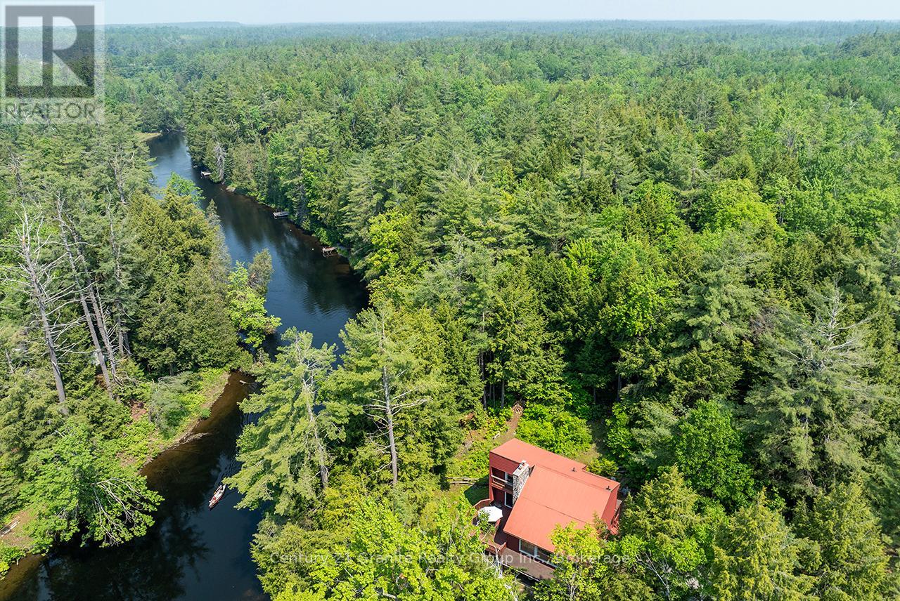 85 Nevison Drive, Kawartha Lakes, Ontario  K0M 2L0 - Photo 38 - X12442998