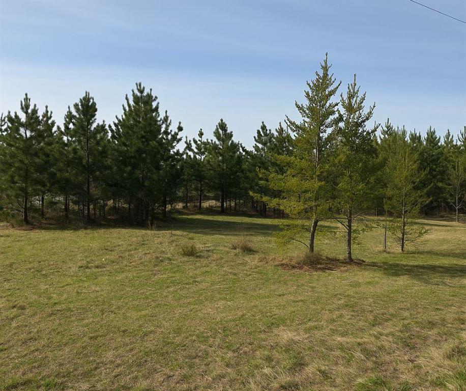 76 Spruce Avenue, Sandilands, Manitoba  R0A 1W0 - Photo 0 - 202525773