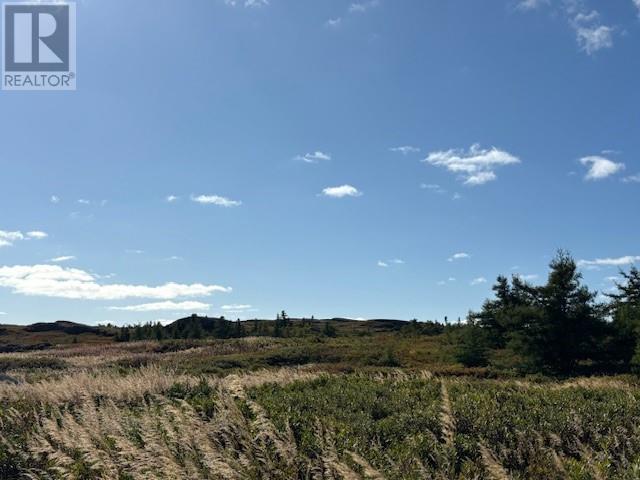 8 Islandview Avenue, New Wes Valley, Newfoundland & Labrador  A0G 4R0 - Photo 1 - 1291187