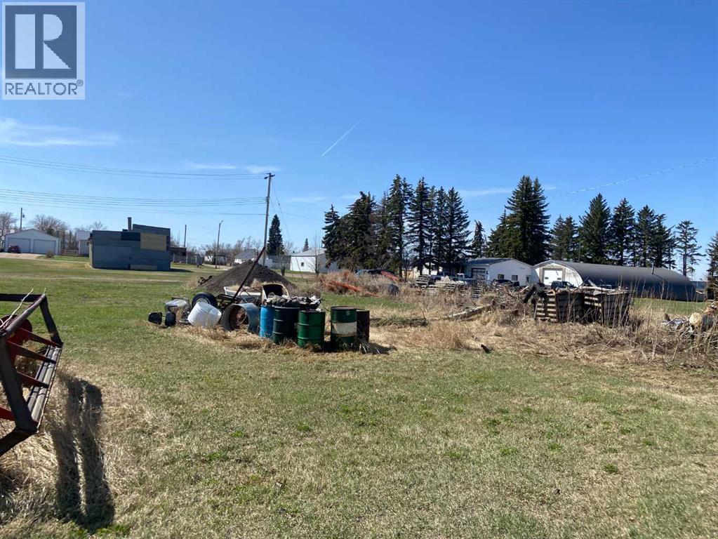 219 Railway Avenue Se, Youngstown, Alberta  T0J 3P0 - Photo 5 - A2202006