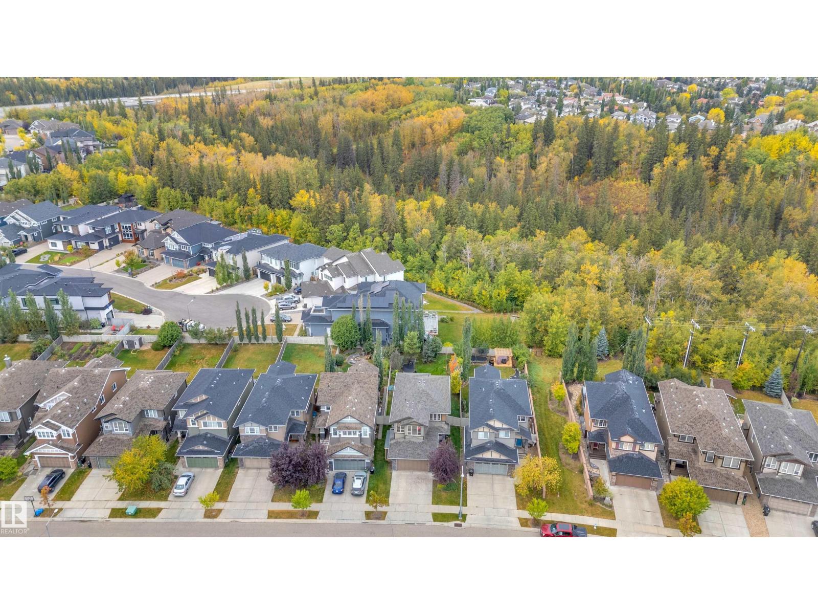 1422 Chahley Pl Nw Nw, Edmonton, Alberta  T6M 0J3 - Photo 3 - E4460542