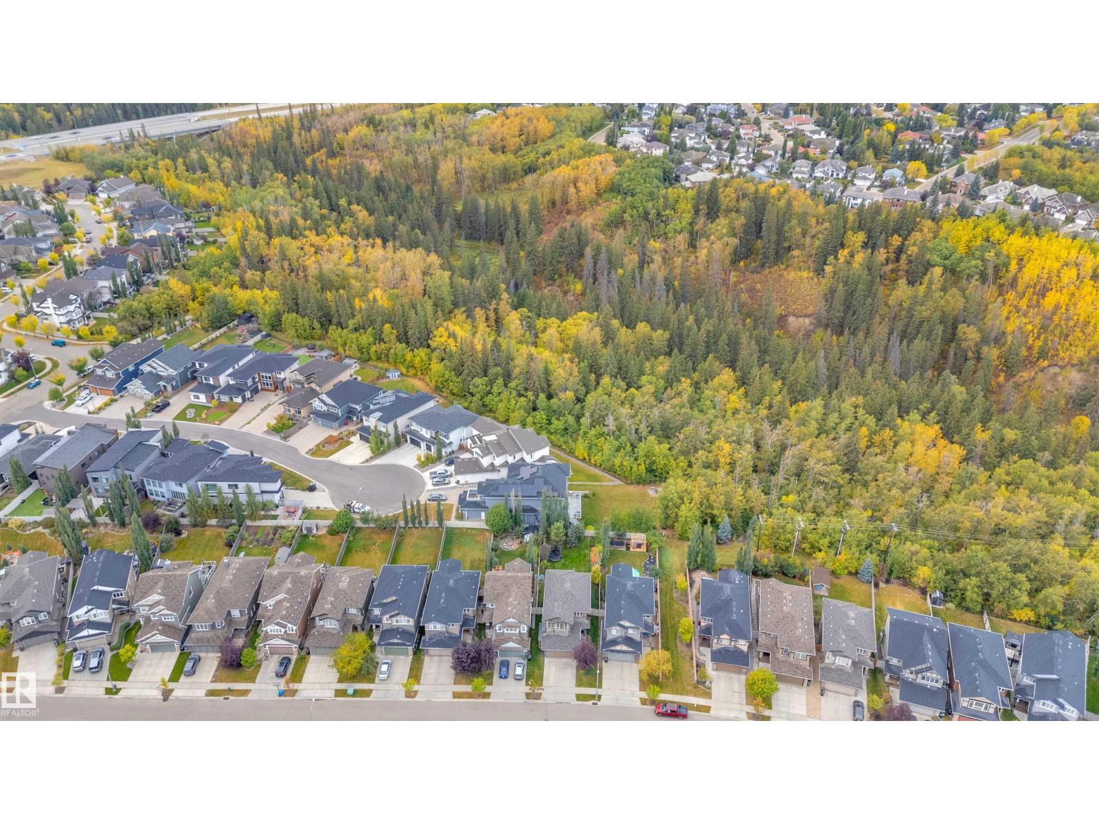 1422 Chahley Pl Nw Nw, Edmonton, Alberta  T6M 0J3 - Photo 4 - E4460542