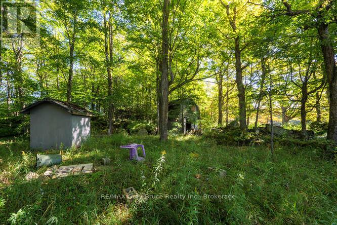 290 Clarke's Road, Northern Bruce Peninsula, Ontario  N0H 1W0 - Photo 41 - X12443066