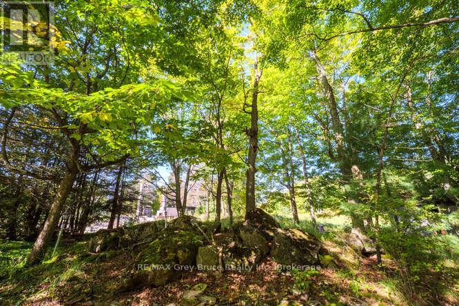 290 Clarke's Road, Northern Bruce Peninsula, Ontario  N0H 1W0 - Photo 49 - X12443066