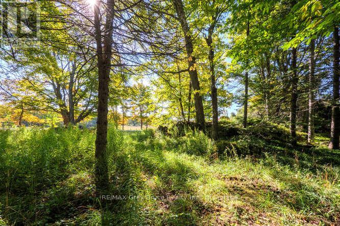 290 Clarke's Road, Northern Bruce Peninsula, Ontario  N0H 1W0 - Photo 47 - X12443066