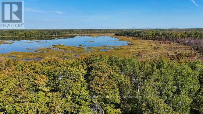 290 Clarke's Road, Northern Bruce Peninsula, Ontario  N0H 1W0 - Photo 19 - X12443066