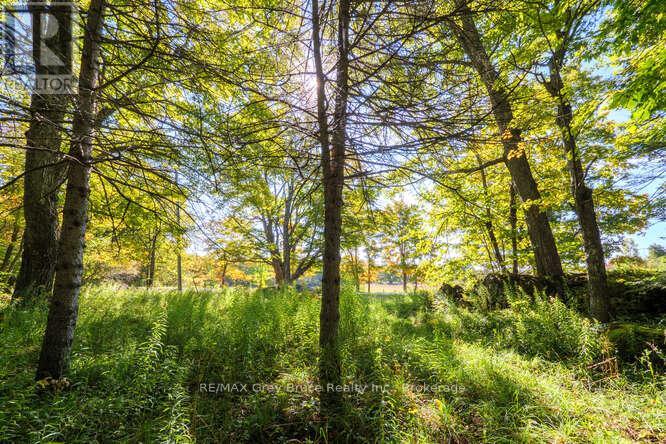 290 Clarke's Road, Northern Bruce Peninsula, Ontario  N0H 1W0 - Photo 48 - X12443066
