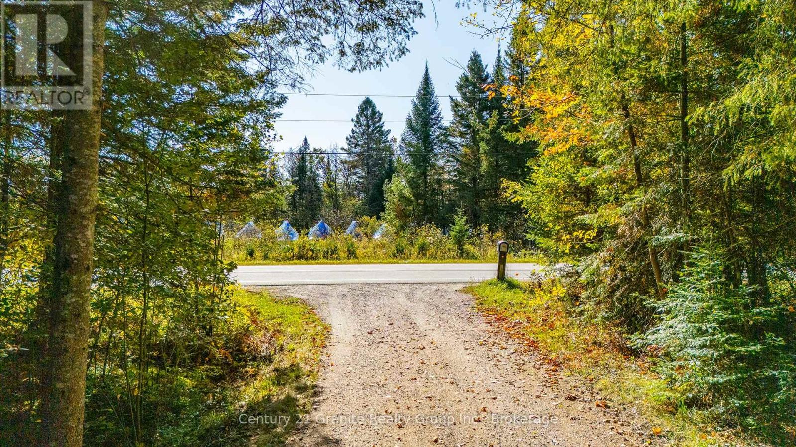 4739 Gelert Road, Minden Hills, Ontario  K0M 1S0 - Photo 2 - X12443105