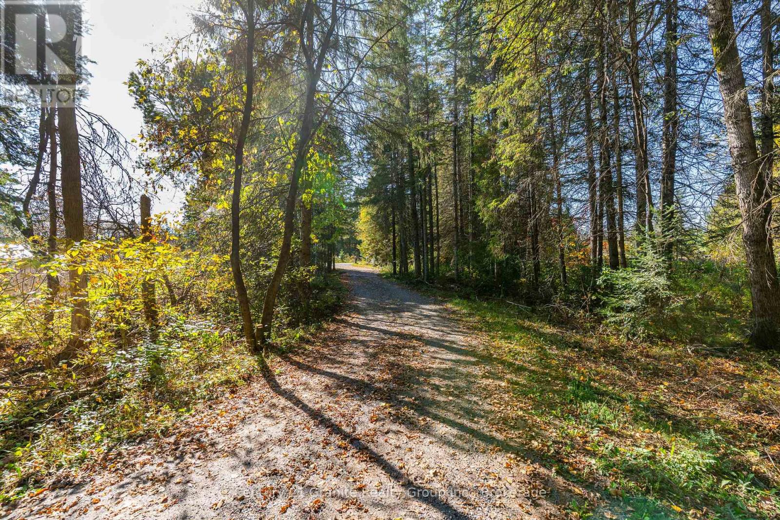 4739 Gelert Road, Minden Hills, Ontario  K0M 1S0 - Photo 3 - X12443105