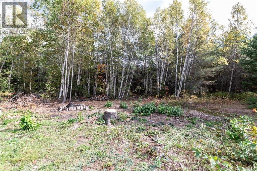11580 Rte 126, Collette, New Brunswick  E4Y 2S8 - Photo 50 - NB127904