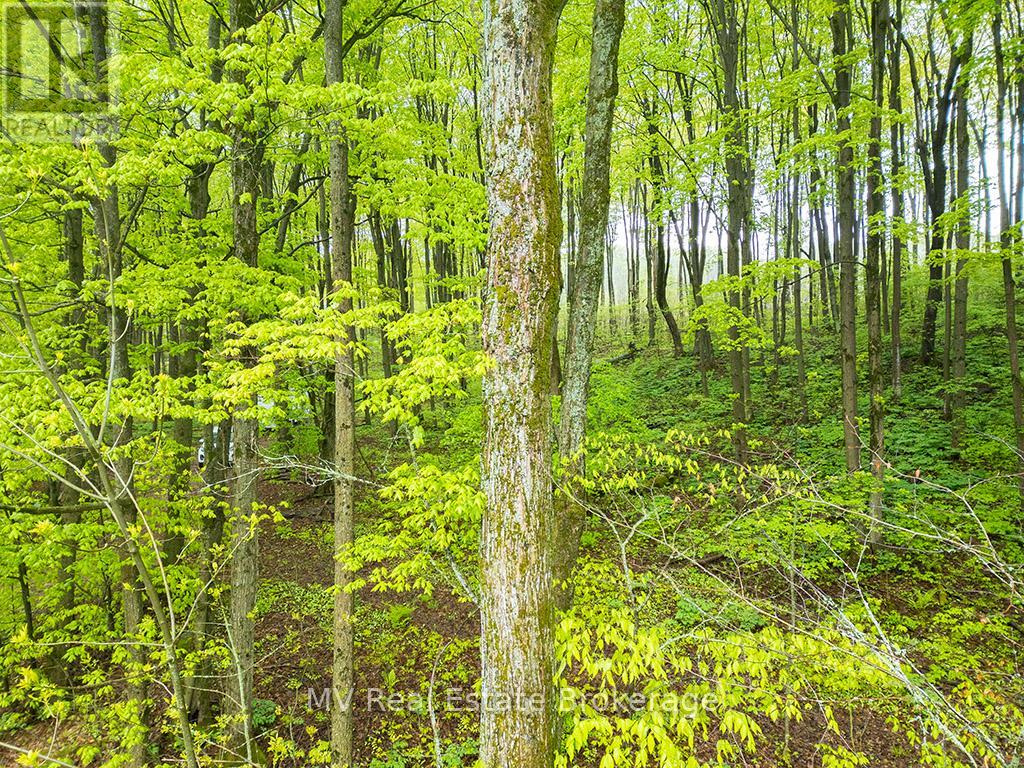 Pt Lt 6 Baseline Road, Grey Highlands, Ontario  N0C 1H0 - Photo 10 - X12443197
