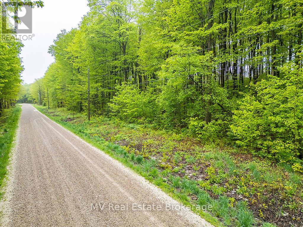 Pt Lt 6 Baseline Road, Grey Highlands, Ontario  N0C 1H0 - Photo 4 - X12443197
