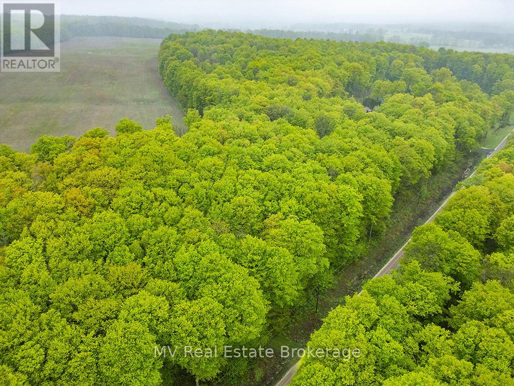Pt Lt 6 Baseline Road, Grey Highlands, Ontario  N0C 1H0 - Photo 6 - X12443197