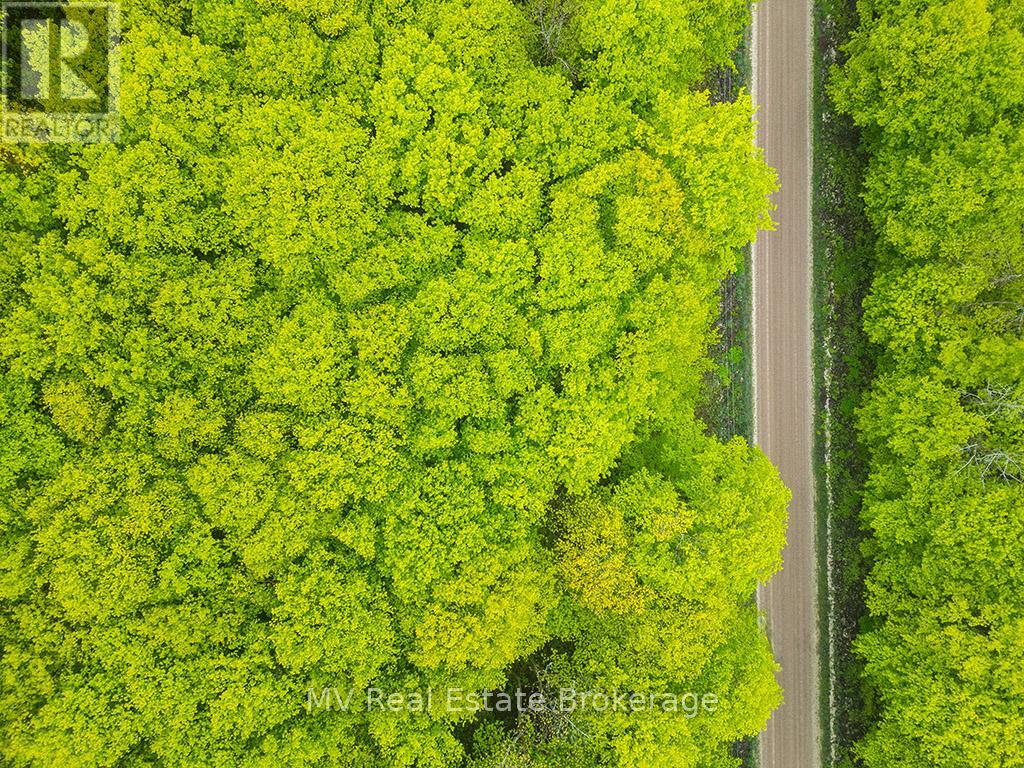Pt Lt 6 Baseline Road, Grey Highlands, Ontario  N0C 1H0 - Photo 7 - X12443197