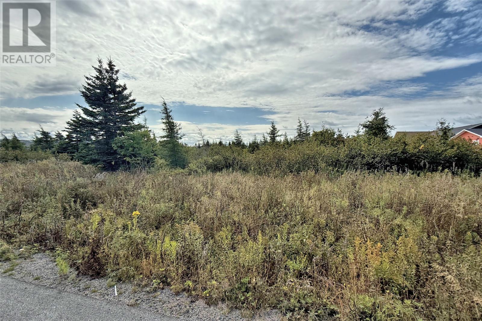 2 Whitney Street, Bay Roberts, Newfoundland & Labrador  A0A 1G0 - Photo 3 - 1291172