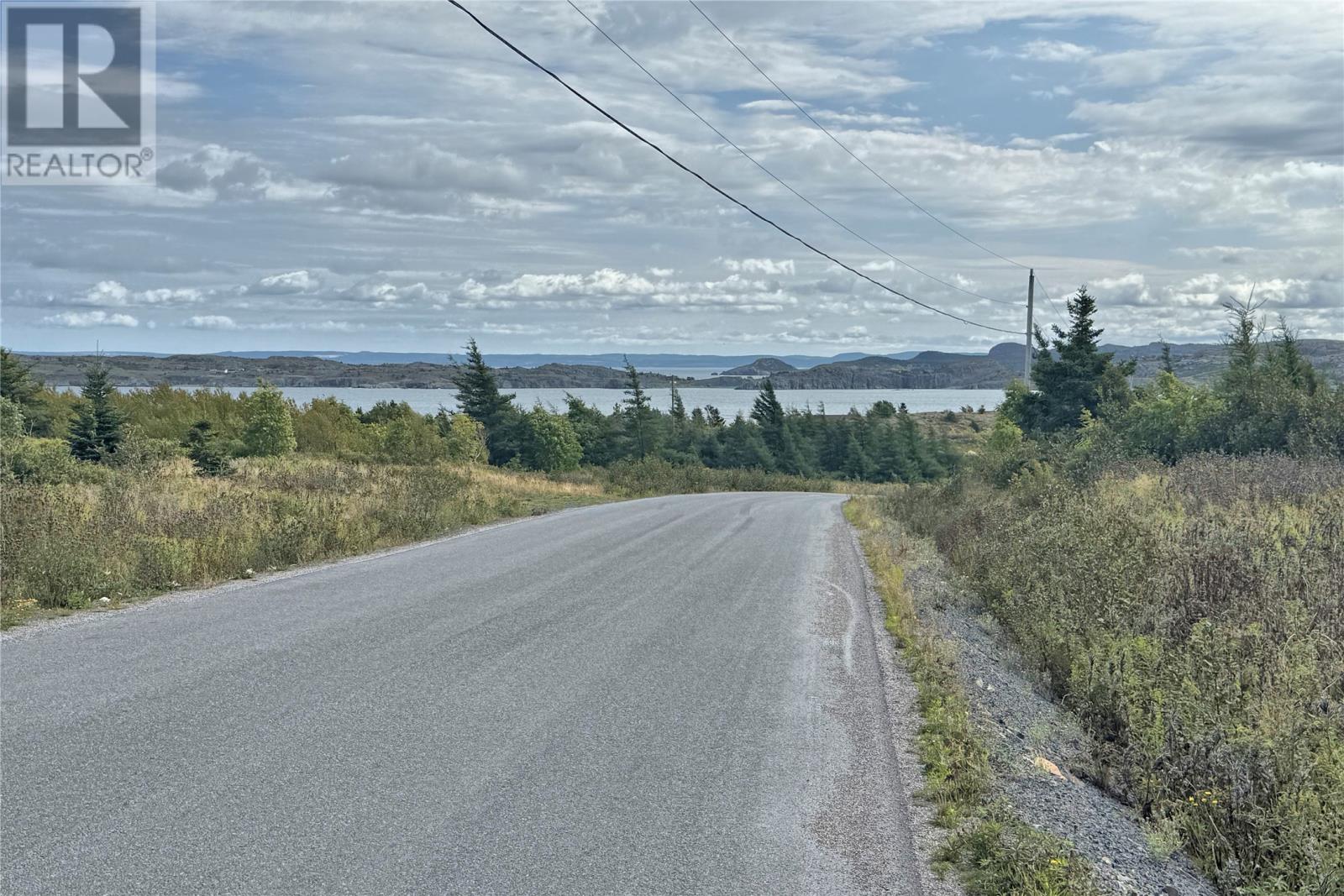 2 Whitney Street, Bay Roberts, Newfoundland & Labrador  A0A 1G0 - Photo 4 - 1291172