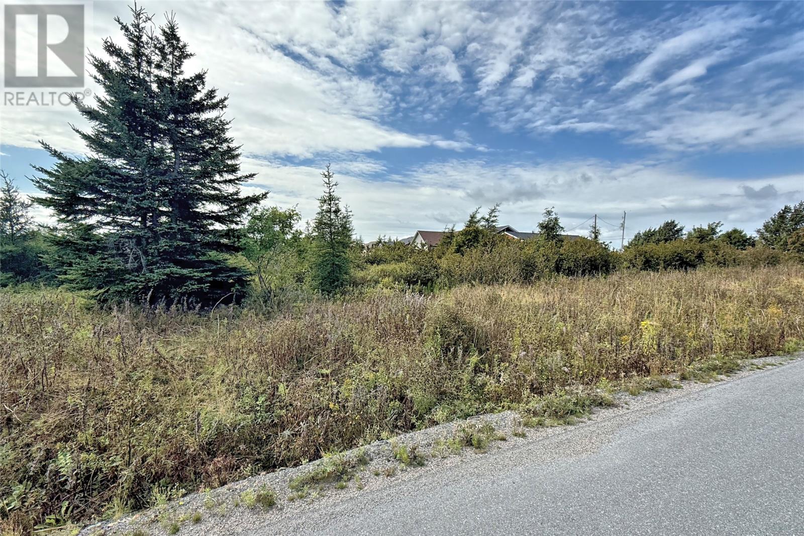 2 Whitney Street, Bay Roberts, Newfoundland & Labrador  A0A 1G0 - Photo 5 - 1291172