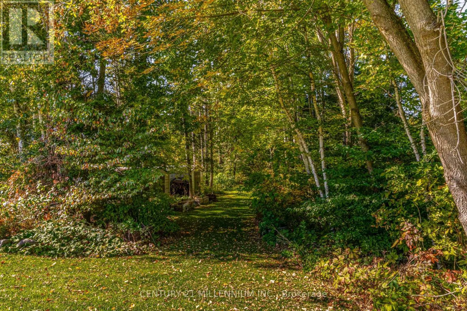 9344 County 1 Road, Caledon, Ontario  L0N 1P0 - Photo 47 - N12416541