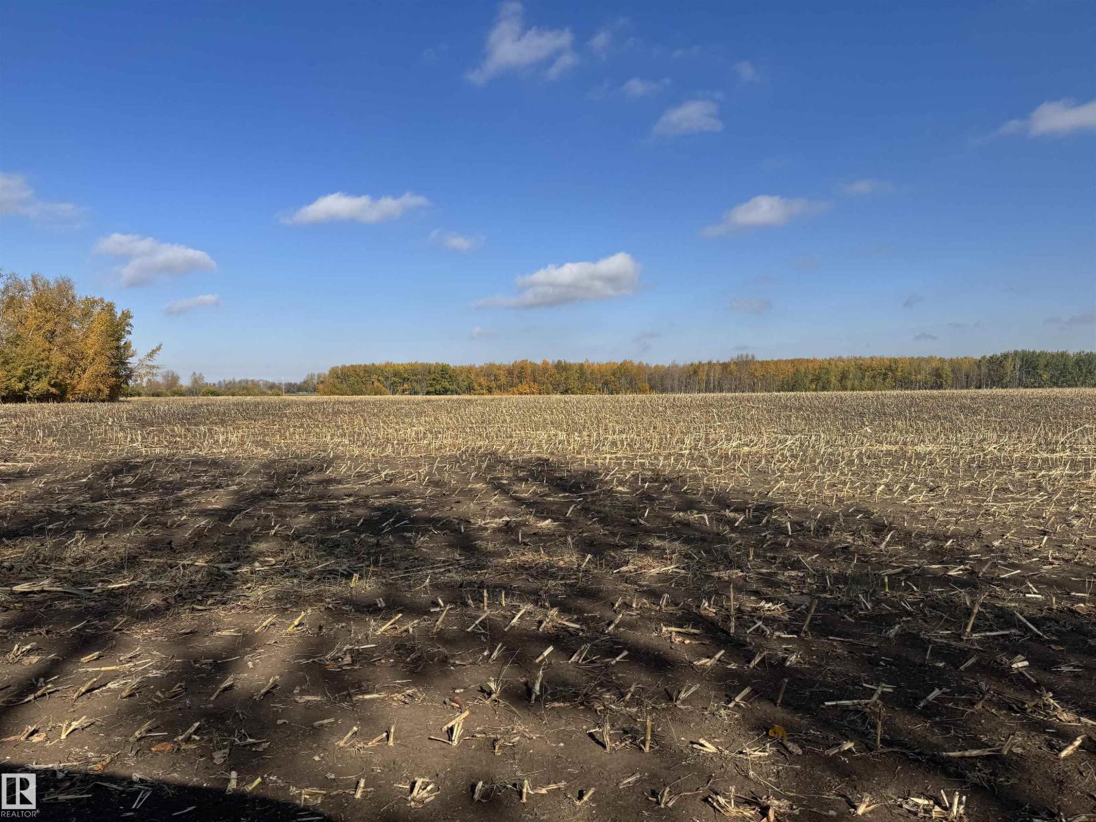 Nw-29-58 23-W4th, Rural Westlock County, Alberta  T0G 1L0 - Photo 12 - E4460654