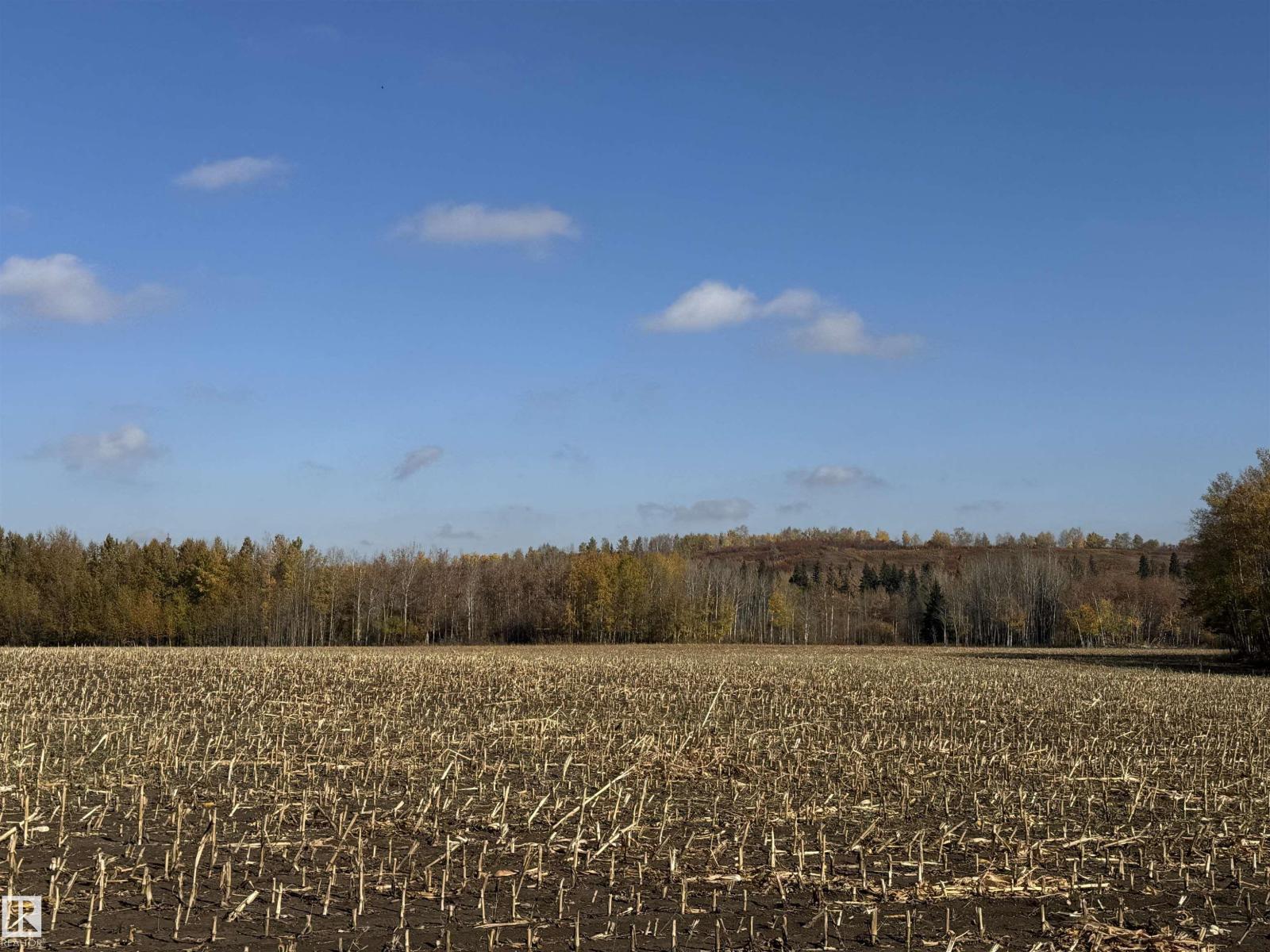 Nw-29-58 23-W4th, Rural Westlock County, Alberta  T0G 1L0 - Photo 13 - E4460654
