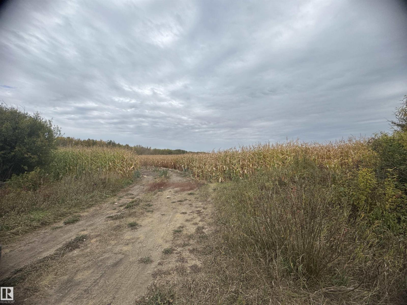 Nw-29-58 23-W4th, Rural Westlock County, Alberta  T0G 1L0 - Photo 6 - E4460654