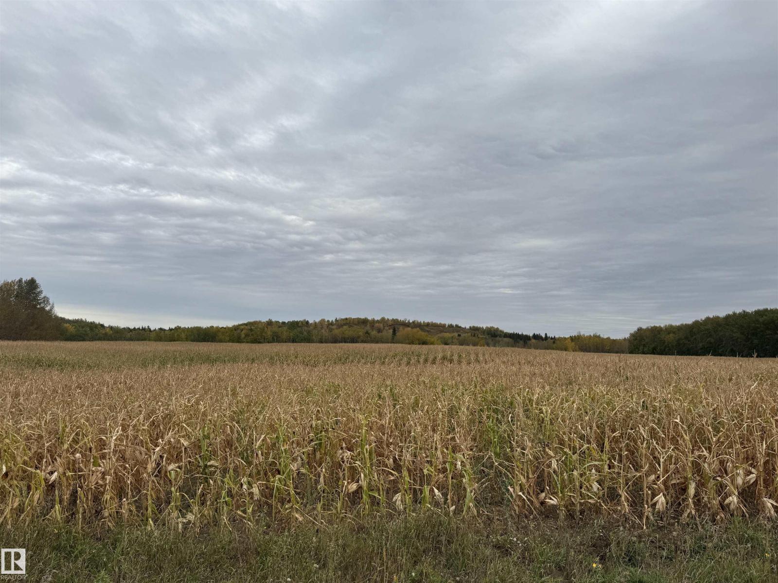 Nw-29-58 23-W4th, Rural Westlock County, Alberta  T0G 1L0 - Photo 7 - E4460654