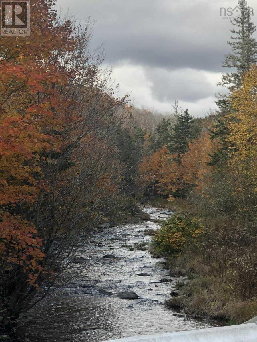 31 Mckenzie Settlement Road, Upper North River, Nova Scotia  B6L 6L7 - Photo 27 - 202524616