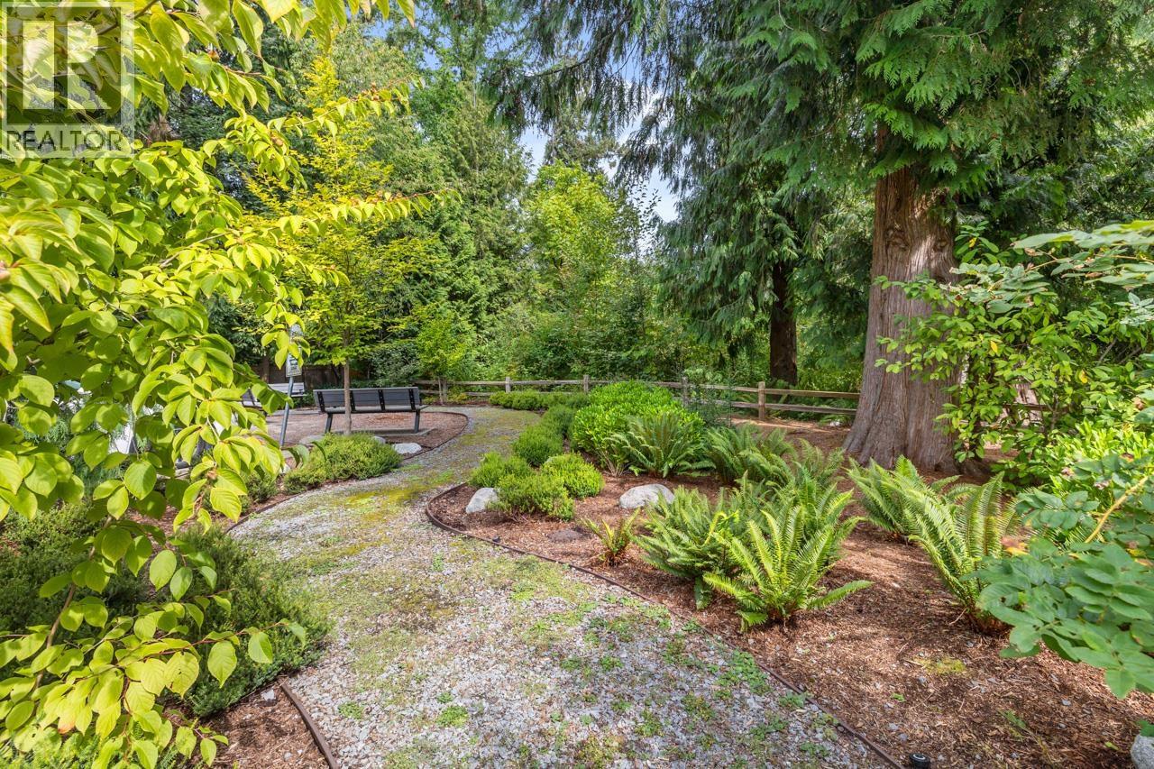 11 24021 110 Avenue, Maple Ridge, British Columbia  V2W 0J9 - Photo 31 - R3045695