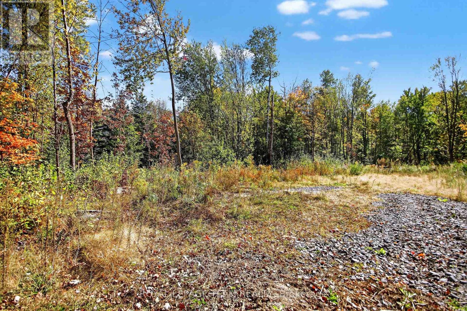 10586 Seibert Road, South Dundas, Ontario  K0E 1K0 - Photo 3 - X12443366