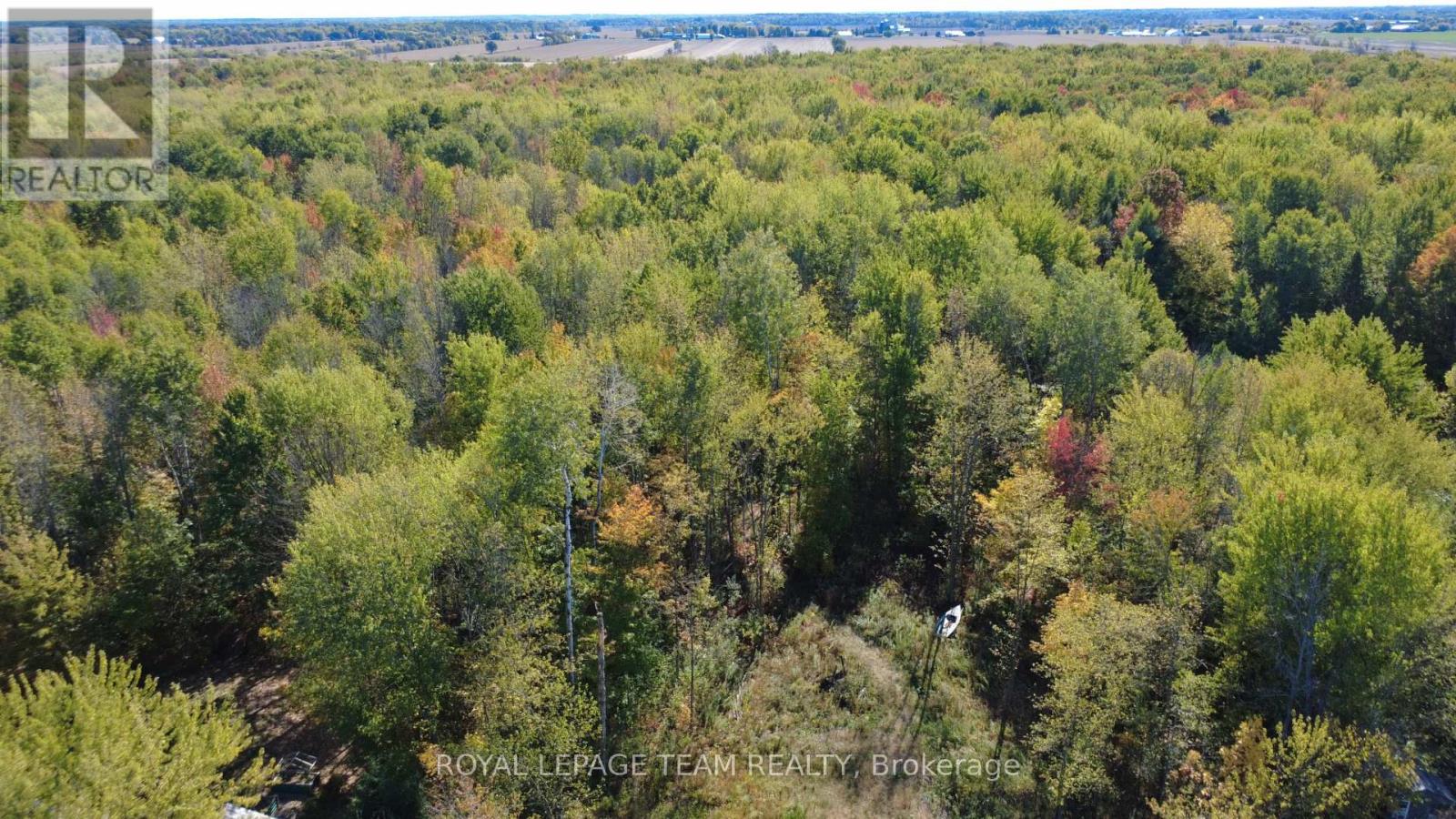 10586 Seibert Road, South Dundas, Ontario  K0E 1K0 - Photo 7 - X12443366