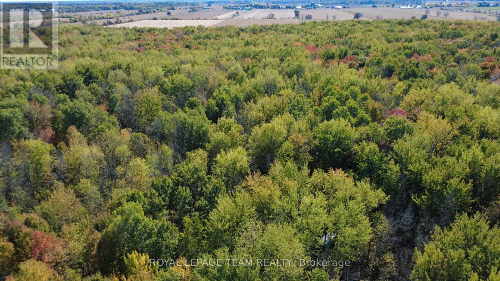 10586 Seibert Road, South Dundas, Ontario  K0E 1K0 - Photo 8 - X12443366