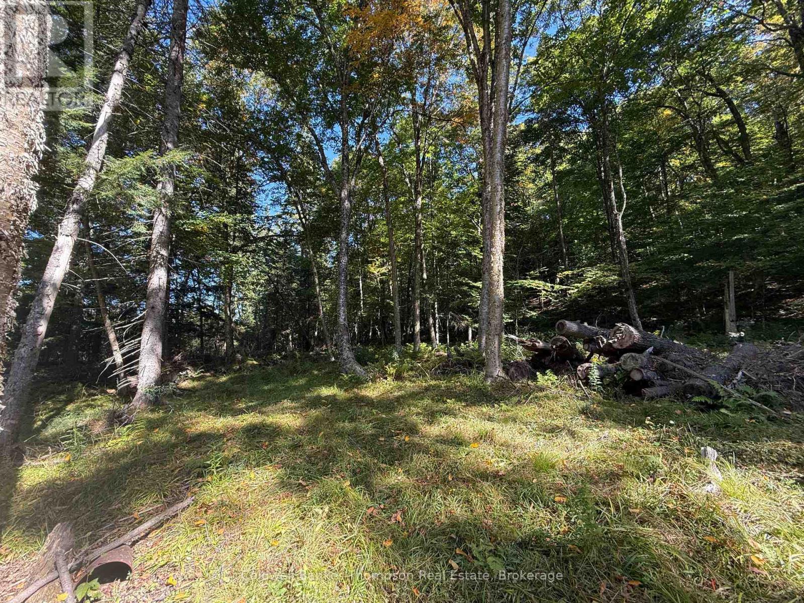 1378 North Mary Lake Road, Huntsville, Ontario  P1H 2J3 - Photo 10 - X12443232