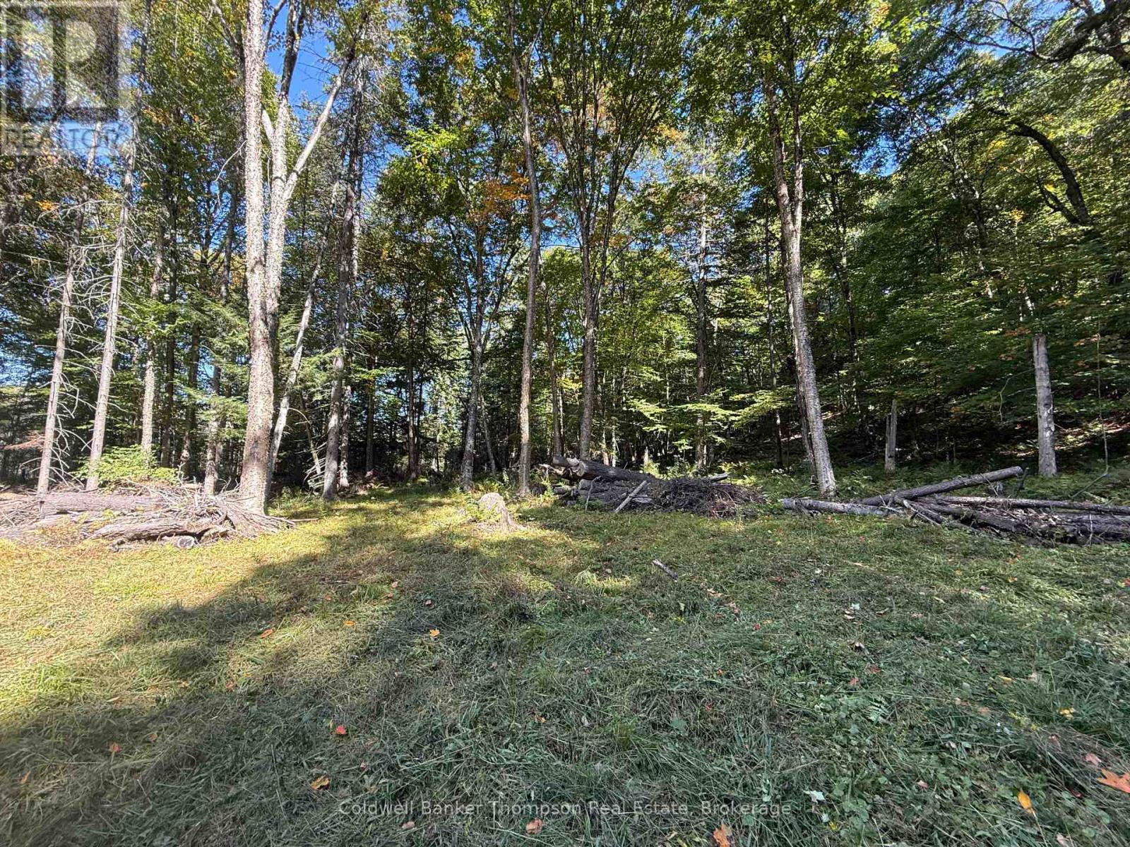 1378 North Mary Lake Road, Huntsville, Ontario  P1H 2J3 - Photo 11 - X12443232