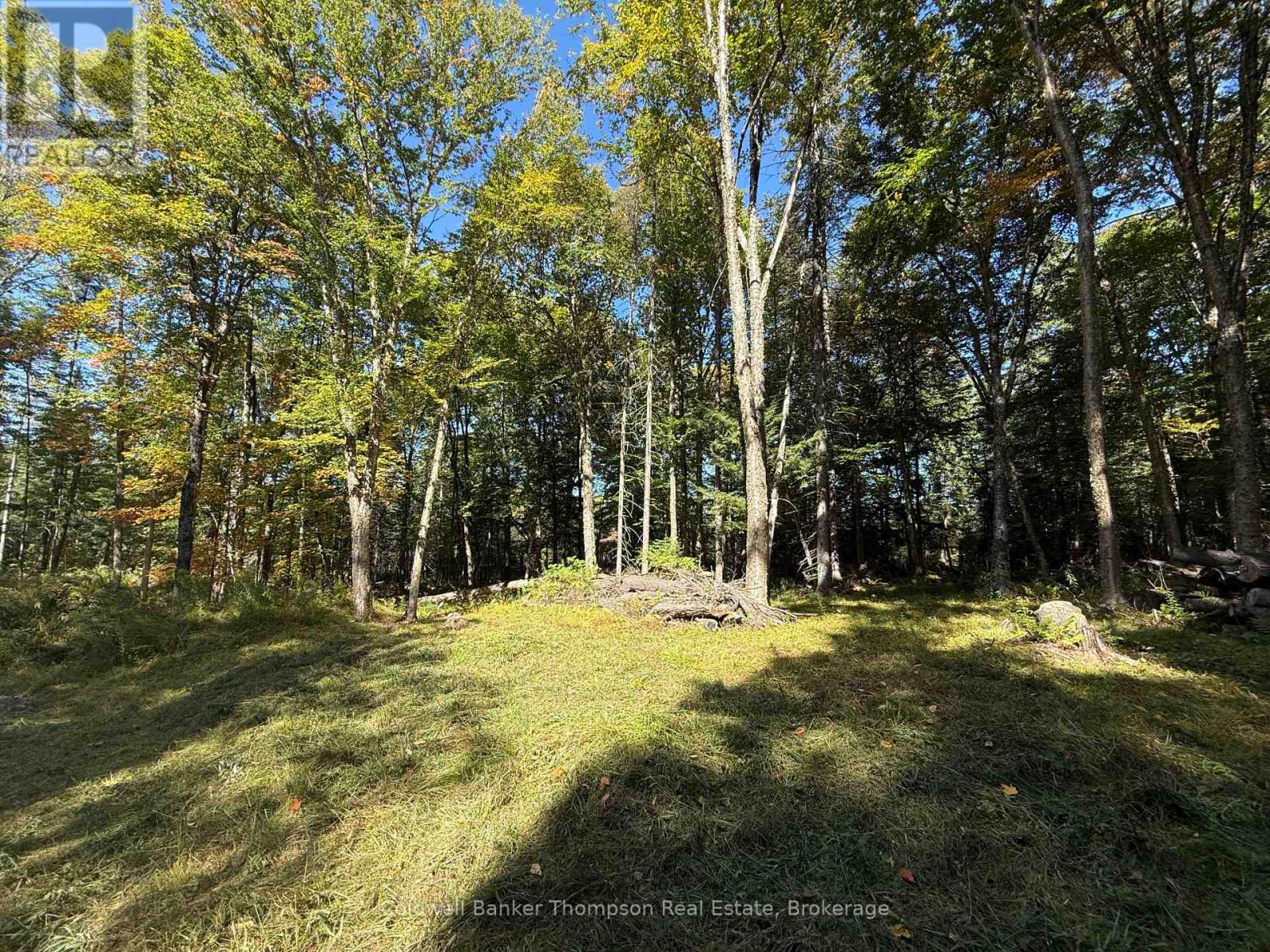 1378 North Mary Lake Road, Huntsville, Ontario  P1H 2J3 - Photo 12 - X12443232