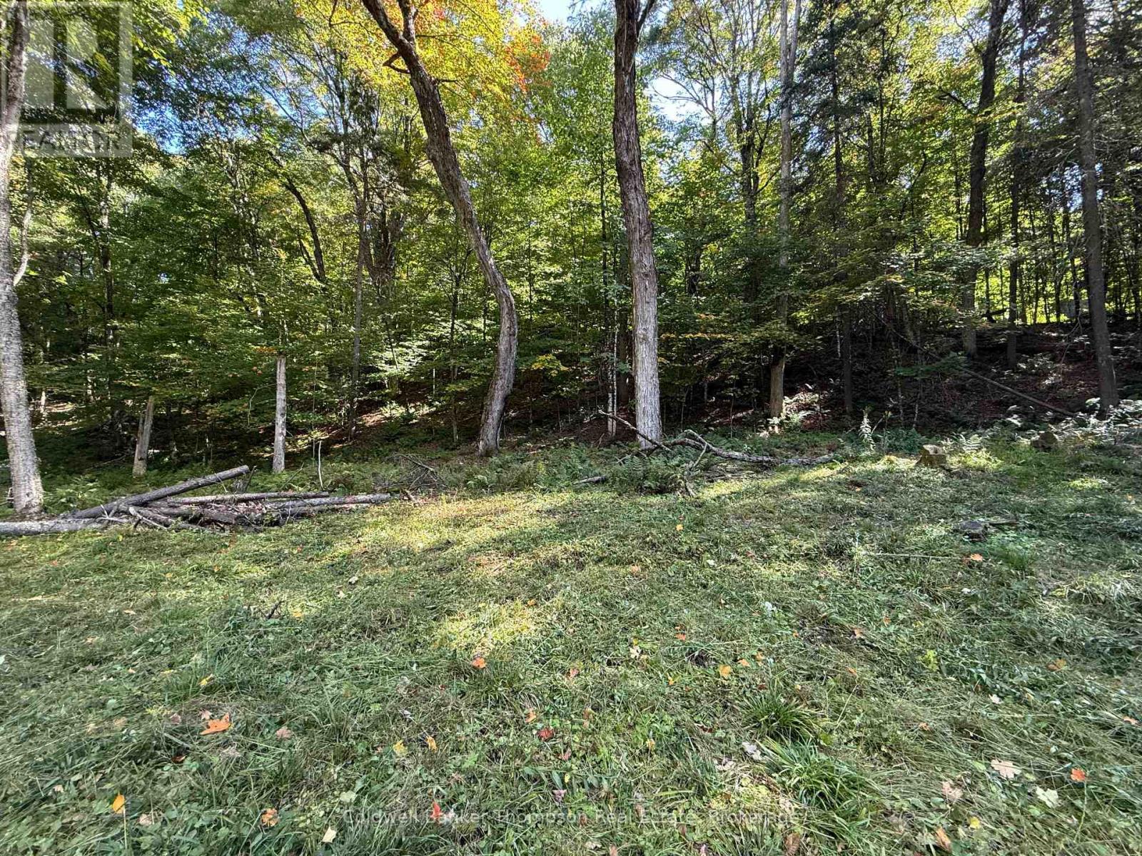 1378 North Mary Lake Road, Huntsville, Ontario  P1H 2J3 - Photo 13 - X12443232