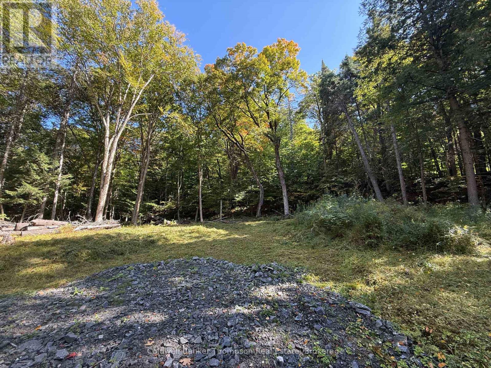 1378 North Mary Lake Road, Huntsville, Ontario  P1H 2J3 - Photo 14 - X12443232