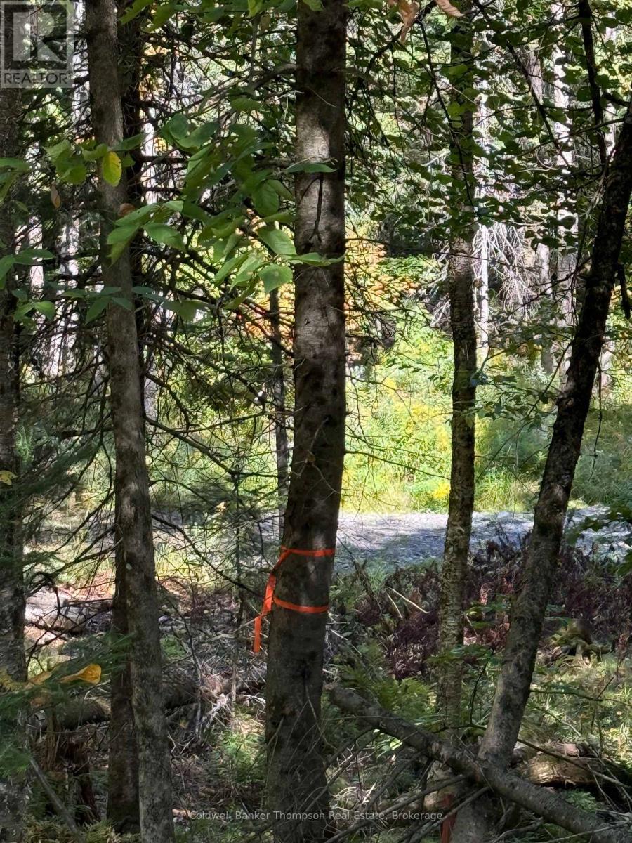 1378 North Mary Lake Road, Huntsville, Ontario  P1H 2J3 - Photo 21 - X12443232