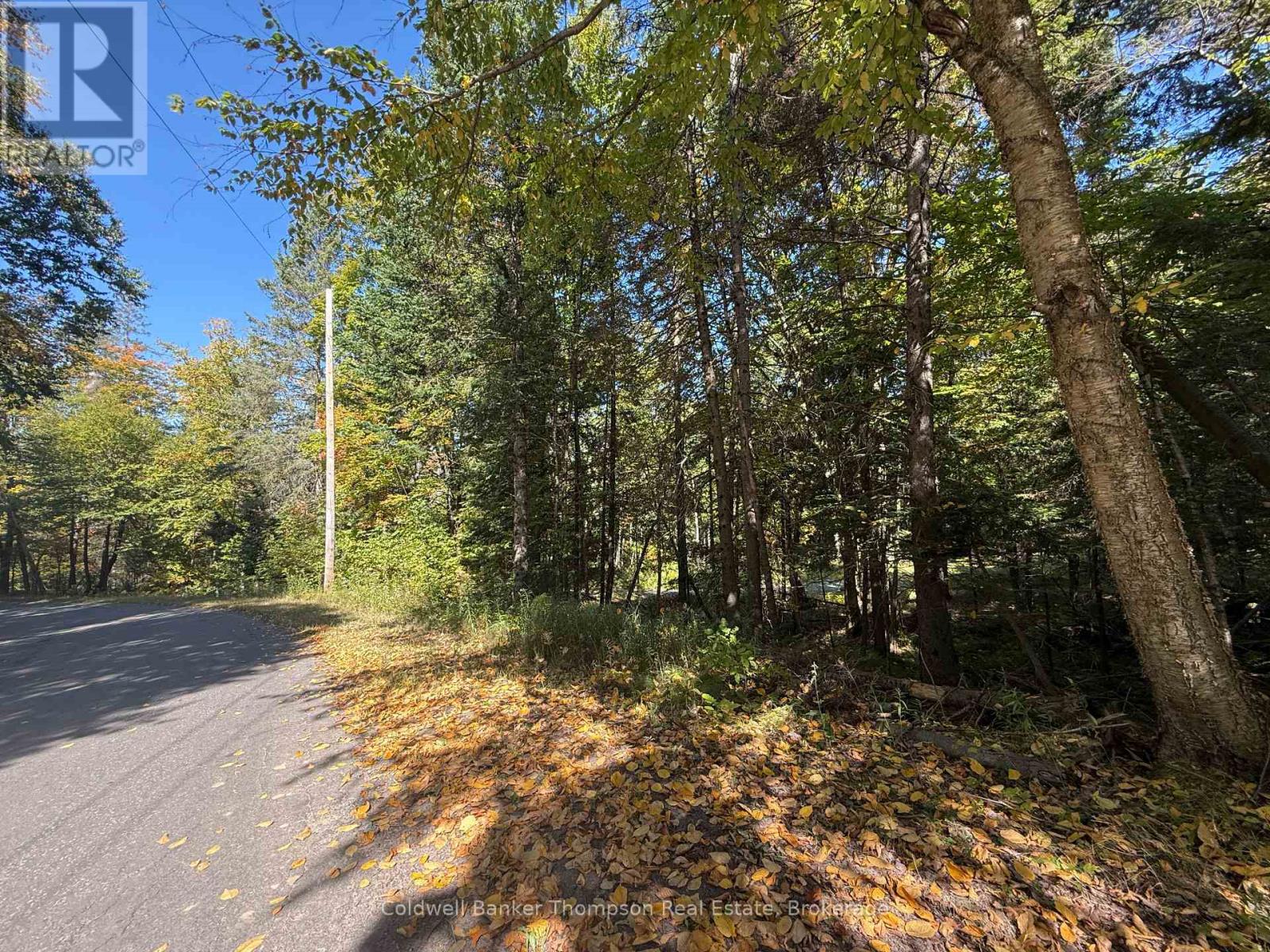 1378 North Mary Lake Road, Huntsville, Ontario  P1H 2J3 - Photo 22 - X12443232