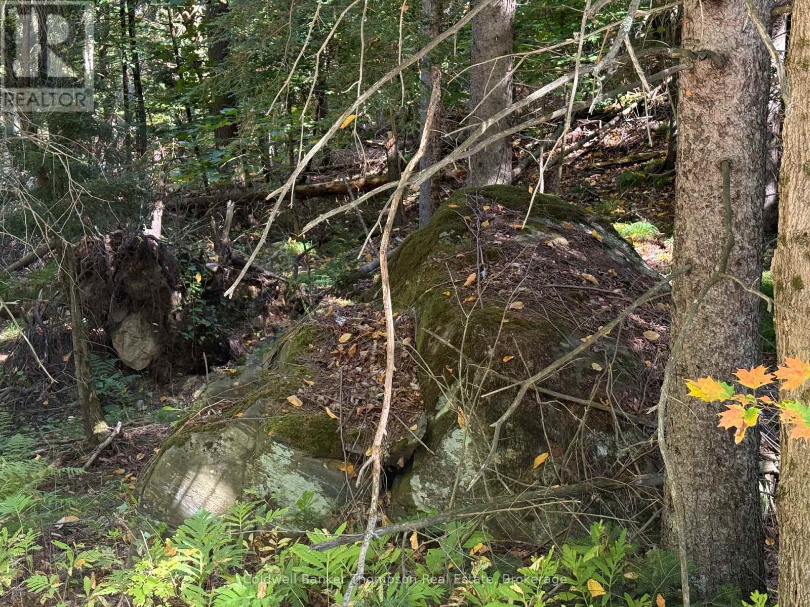 1378 North Mary Lake Road, Huntsville, Ontario  P1H 2J3 - Photo 23 - X12443232