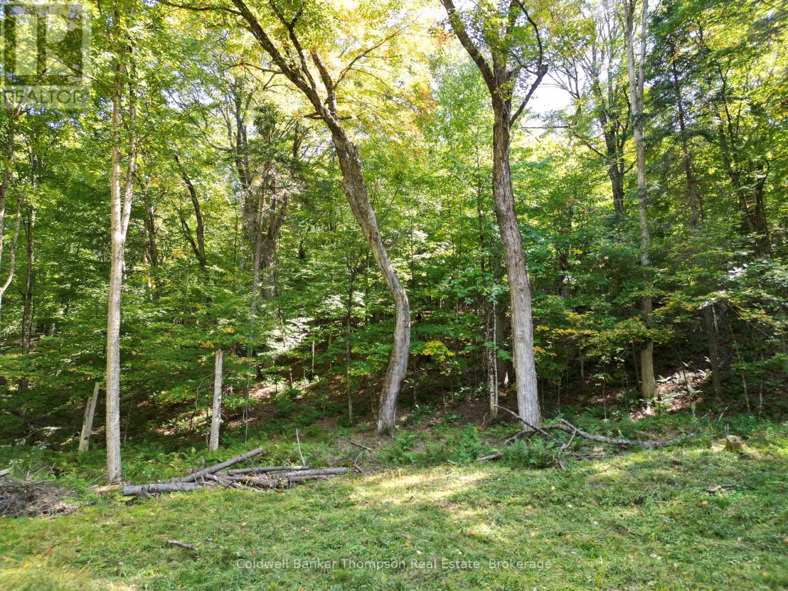 1378 North Mary Lake Road, Huntsville, Ontario  P1H 2J3 - Photo 24 - X12443232