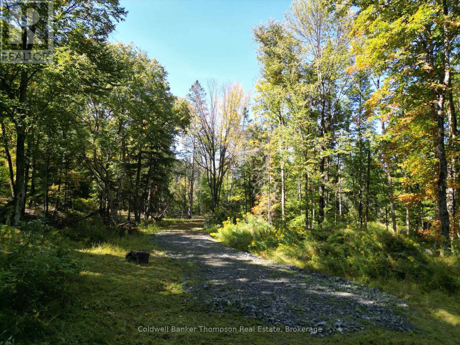 1378 North Mary Lake Road, Huntsville, Ontario  P1H 2J3 - Photo 26 - X12443232