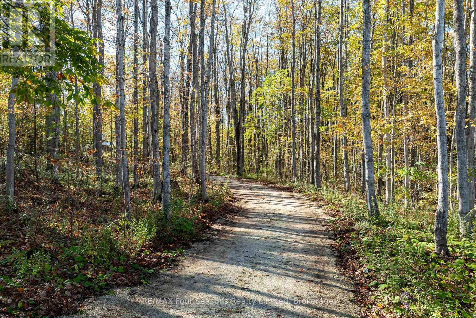 589108 Grey Road 19, Blue Mountains, Ontario  N0H 2E0 - Photo 36 - X12443335