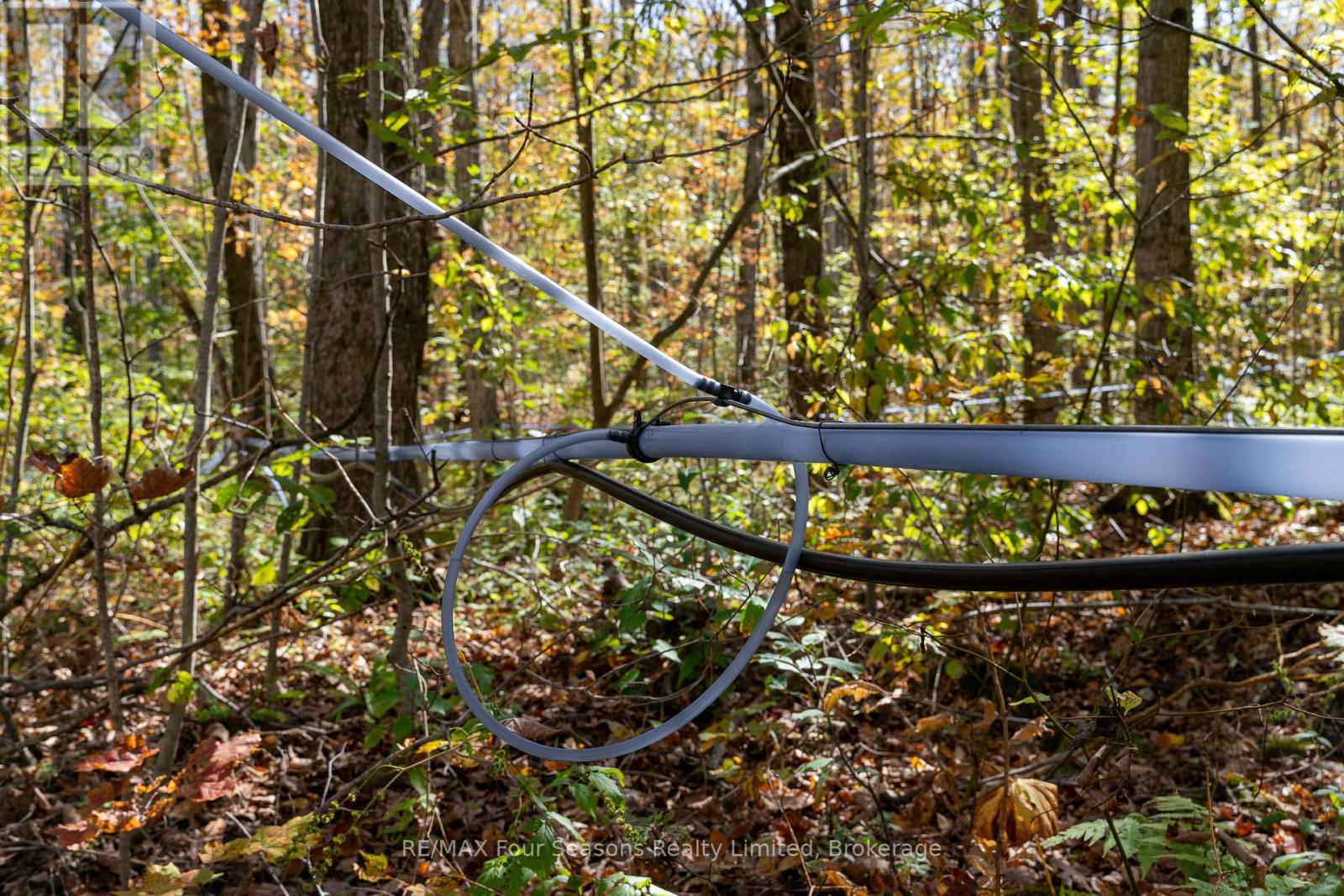 589108 Grey Road 19, Blue Mountains, Ontario  N0H 2E0 - Photo 40 - X12443335