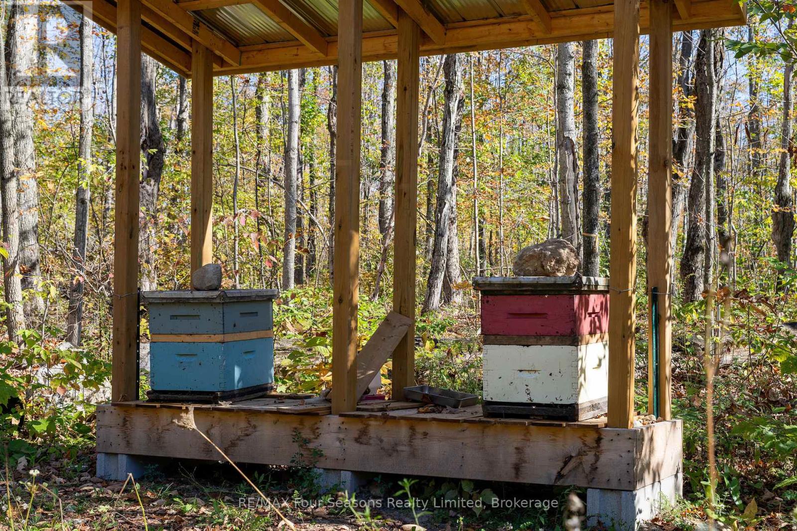 589108 Grey Road 19, Blue Mountains, Ontario  N0H 2E0 - Photo 43 - X12443335