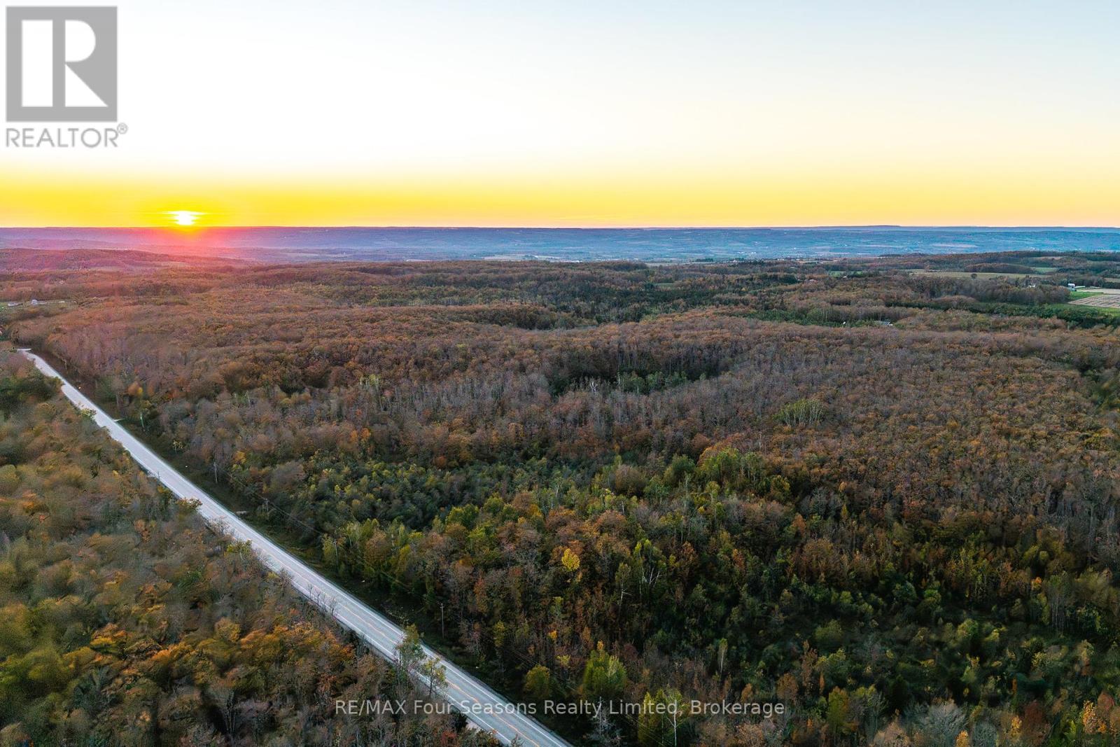 589108 Grey Road 19, Blue Mountains, Ontario  N0H 2E0 - Photo 44 - X12443335
